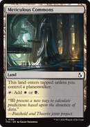 Meticulous Commons [Reality Fracture]